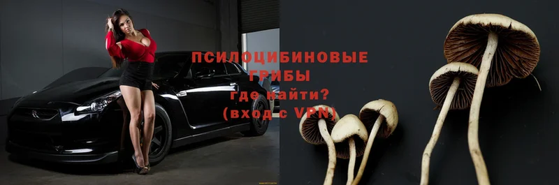 blacksprut рабочий сайт  Иланский  Галлюциногенные грибы Psilocybe  продажа наркотиков 